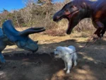 トリケラトプスからアウラを守ってくれた
ヒーロー恐竜🦖

#犬バカ
#もふもふ
#グレートピレニーズ
#GreatPyrenees 
#アウラ
#Aula
#伊東
#小室山